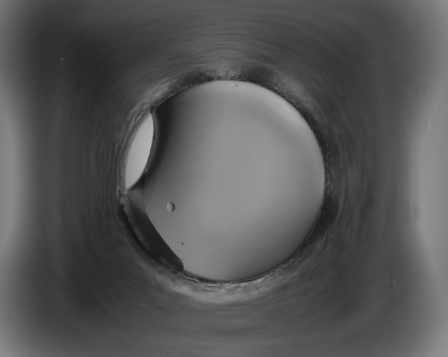 X0000086760023200705041457