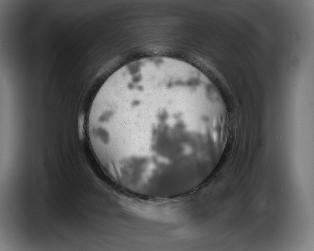 X0000086760024200705041457