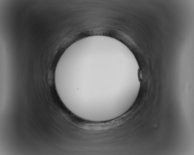 X0000086760025200705041457