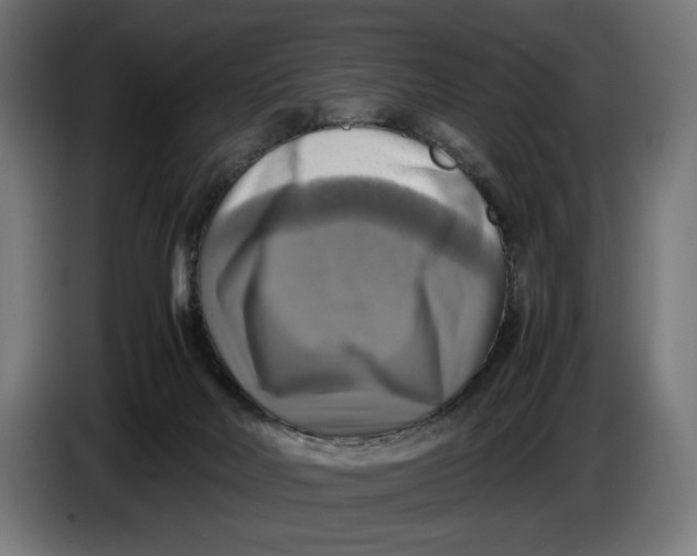 X0000086760026200705041457