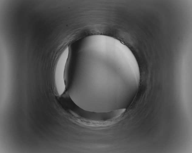 X0000086760027200705041457