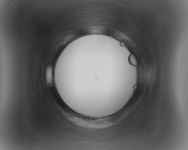 X0000086760028200705041457