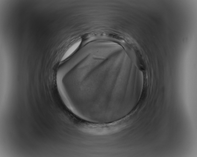 X0000086760029200705041457