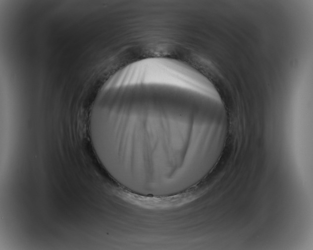 X0000086760030200705041457