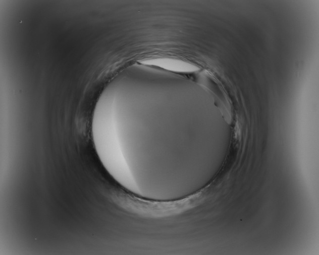 X0000086760031200705041457