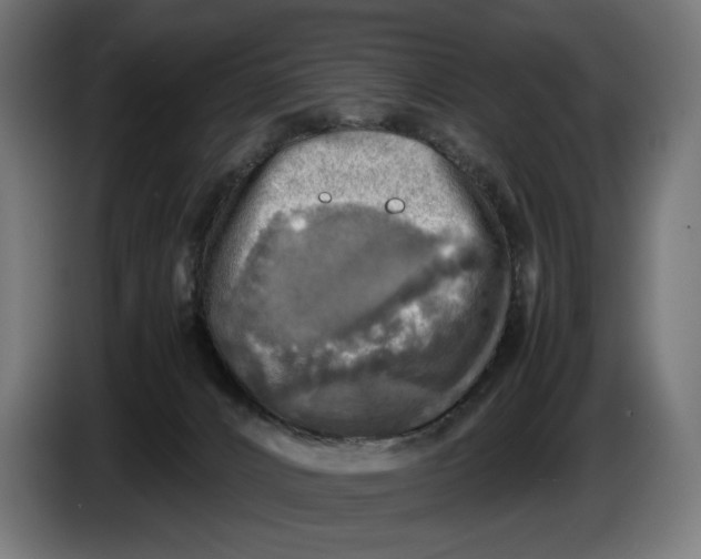 X0000086760032200705041457