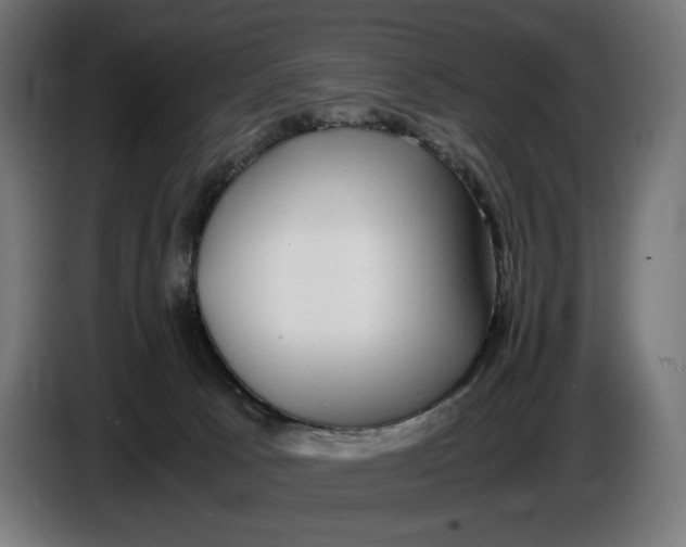 X0000086760033200705041457