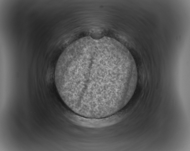 X0000086760034200705041457