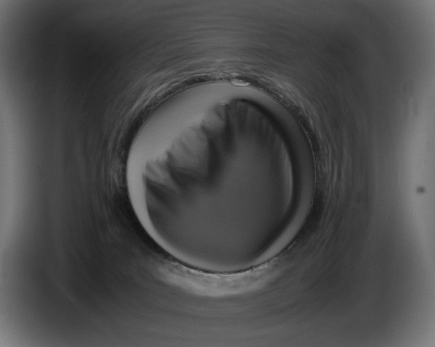 X0000086760035200705041457