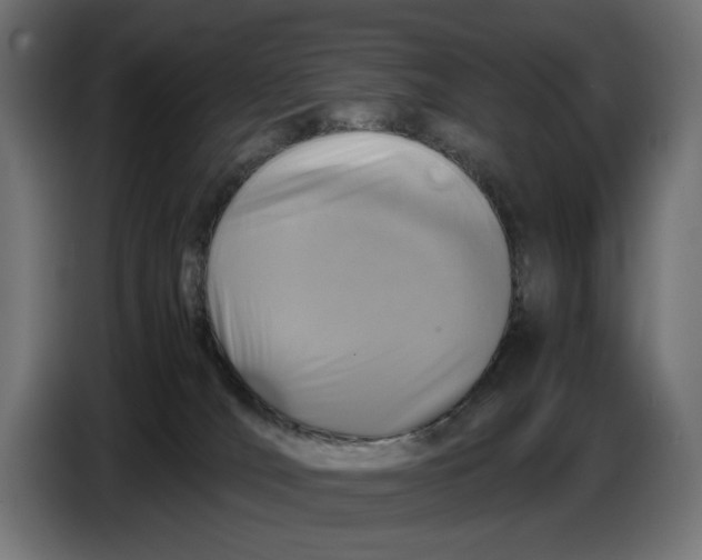 X0000086760036200705041457