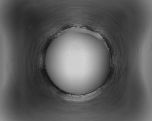 X0000086760037200705041457