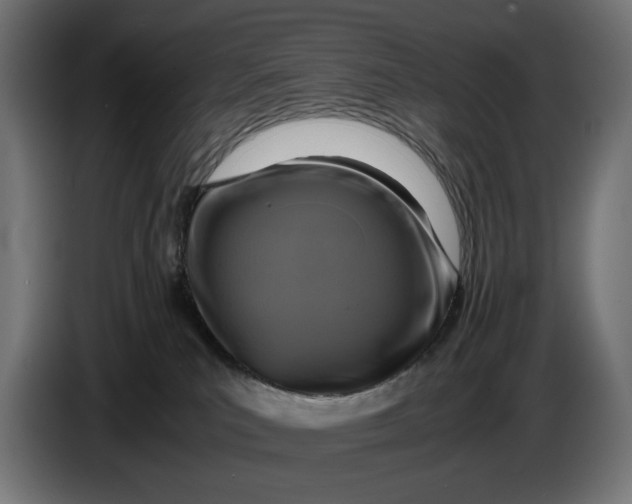 X0000086760039200705041457