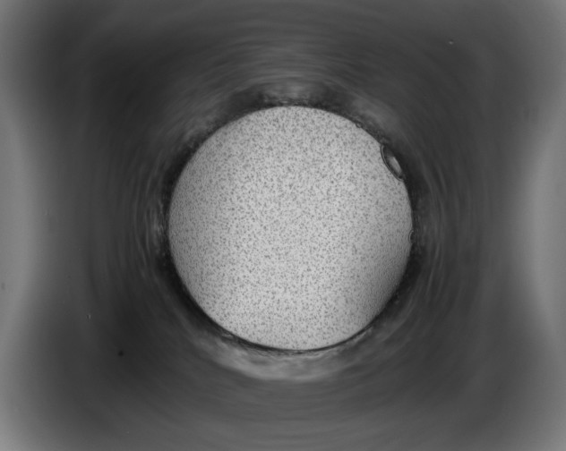 X0000086760040200705041457