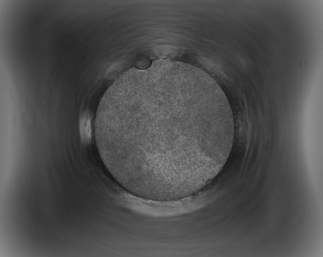 X0000086760042200705041457