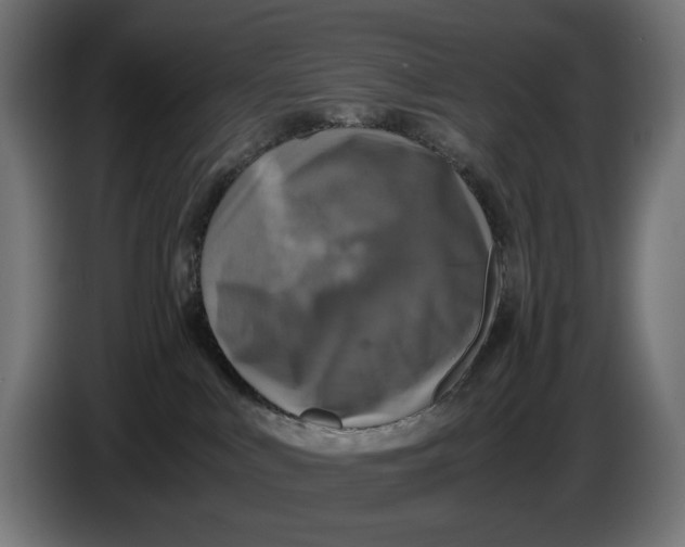 X0000086760043200705041457