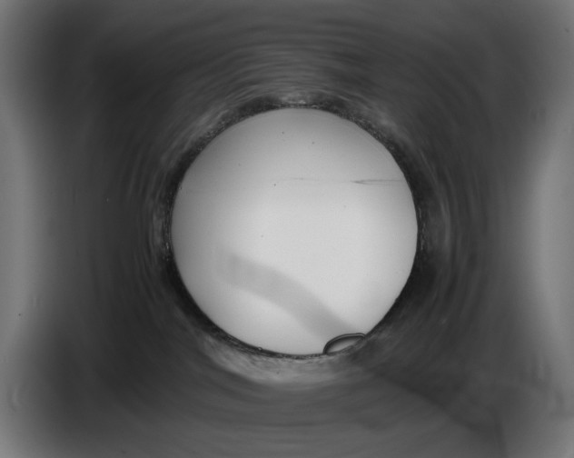 X0000086760044200705041457