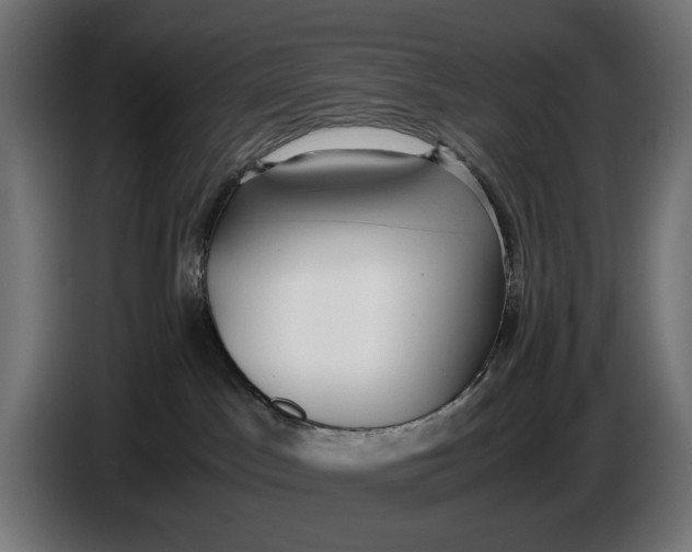 X0000086760045200705041457