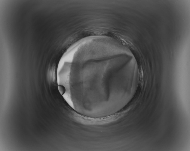 X0000086760046200705041457