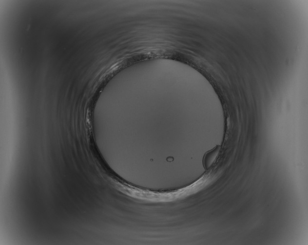 X0000086760048200705041457