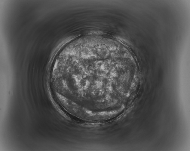 X0000086760049200705041456