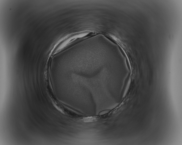 X0000086760050200705041456