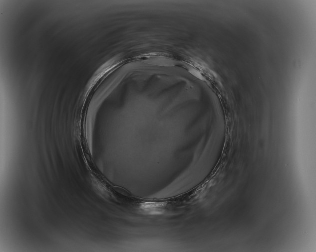 X0000086760051200705041456