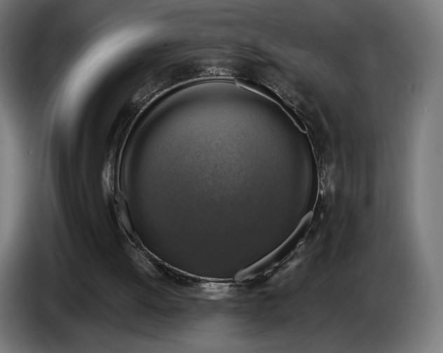 X0000086760052200705041456