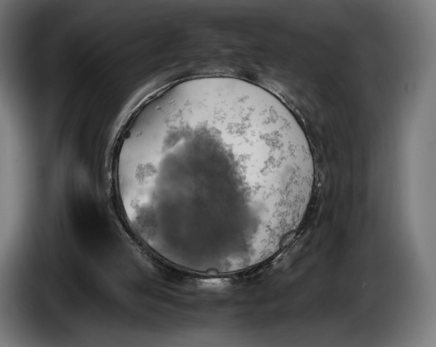 X0000086760053200705041456