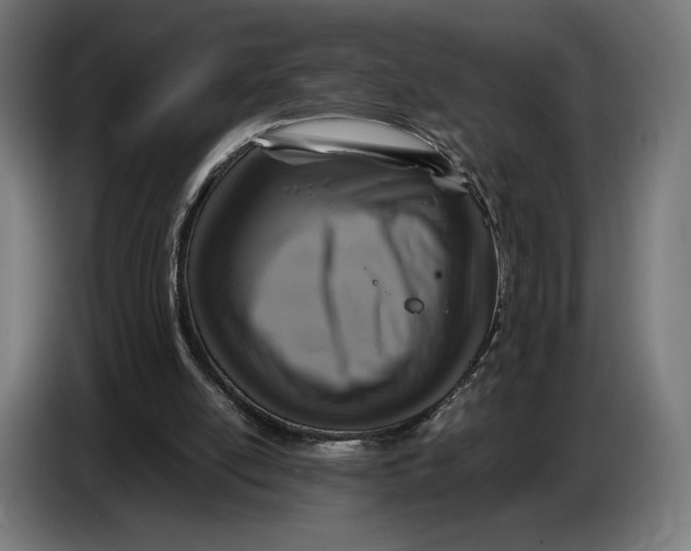 X0000086760054200705041456