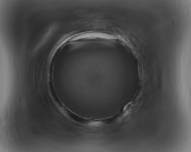 X0000086760055200705041456