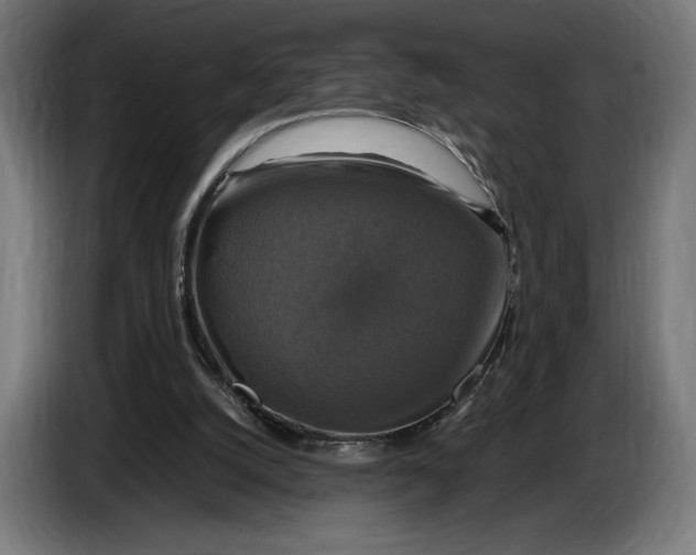 X0000086760056200705041456