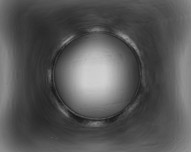 X0000086760057200705041456