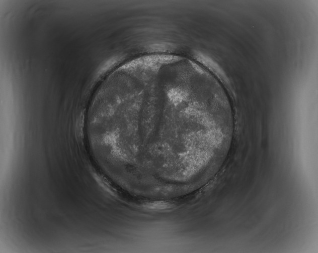 X0000086760058200705041456