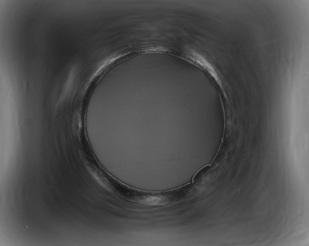 X0000086760059200705041456