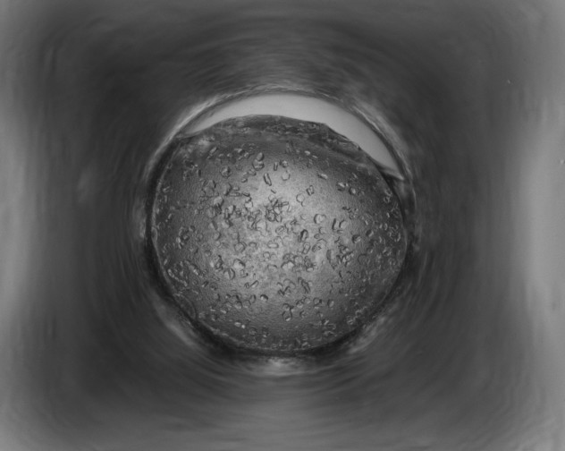 X0000086760060200705041456