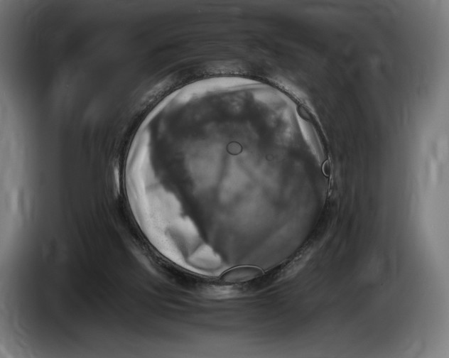 X0000086760061200705041456