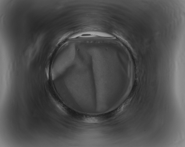 X0000086760062200705041456