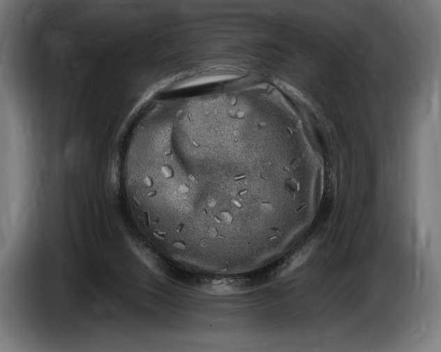 X0000086760064200705041456