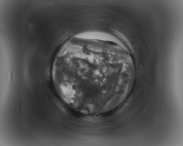 X0000086760065200705041456