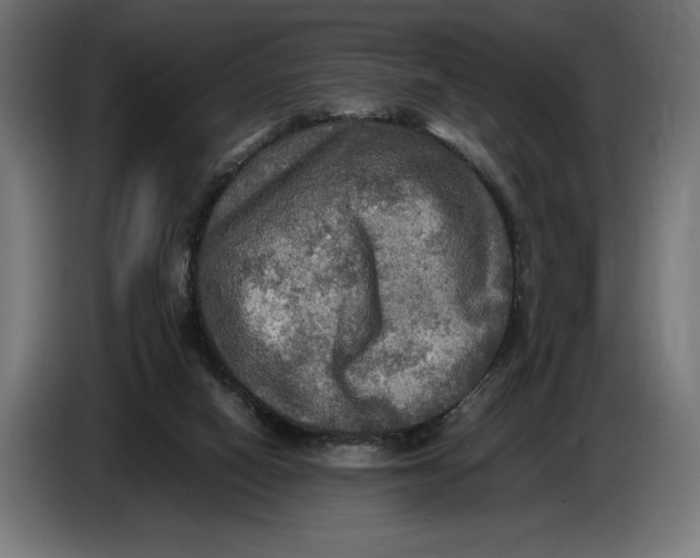 X0000086760066200705041456