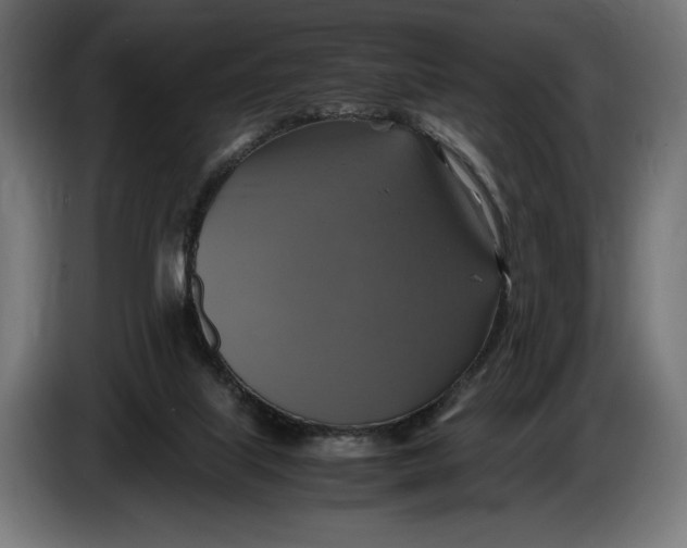 X0000086760067200705041456