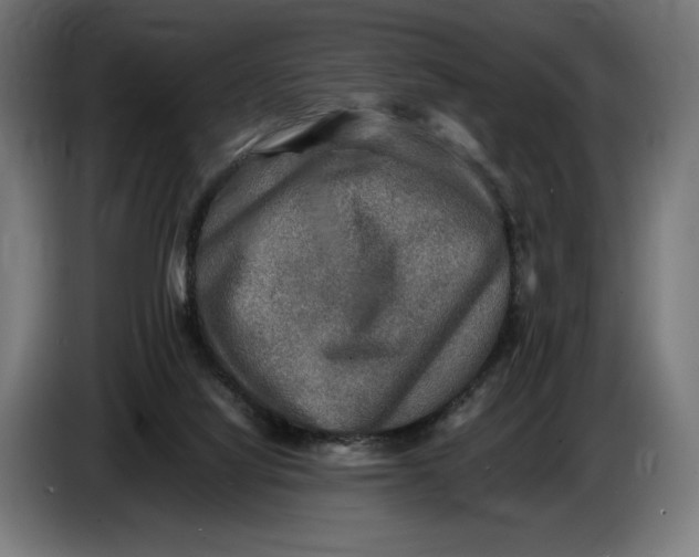 X0000086760068200705041456