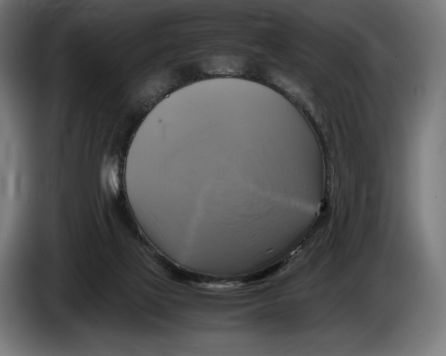 X0000086760069200705041456