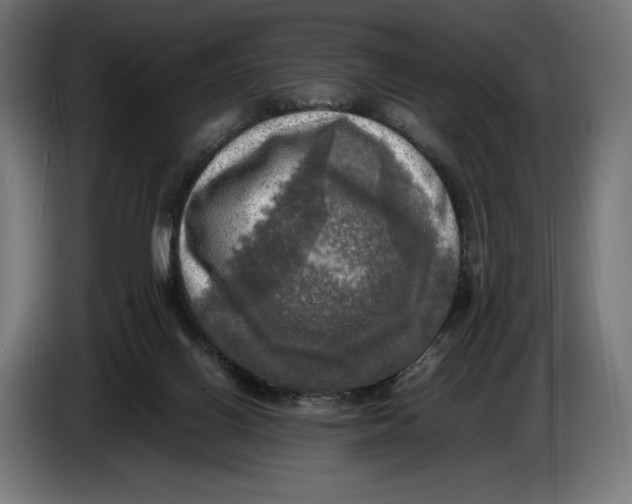 X0000086760070200705041456