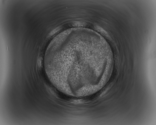 X0000086760071200705041456