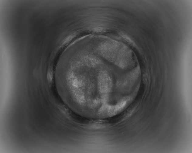 X0000086760072200705041456