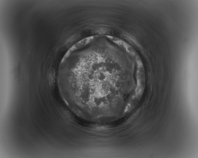 X0000086760073200705041456