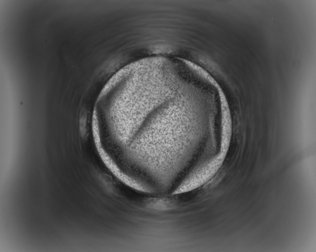 X0000086760074200705041456