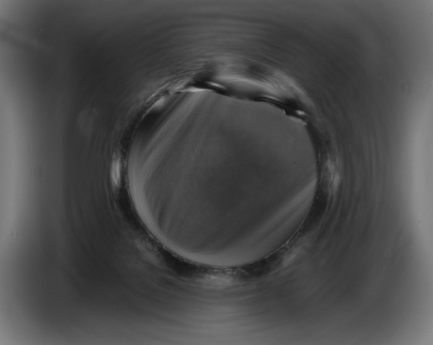 X0000086760076200705041456