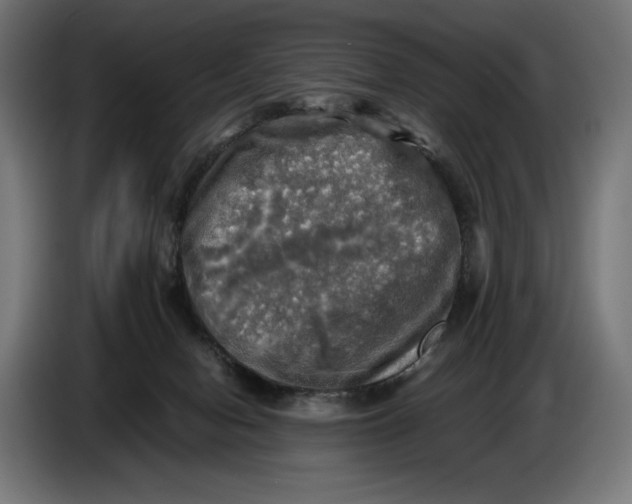 X0000086760078200705041456